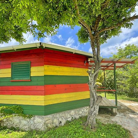 Judy House 2 - Lewis Backpacker Hostel Little Bay Rom bilde