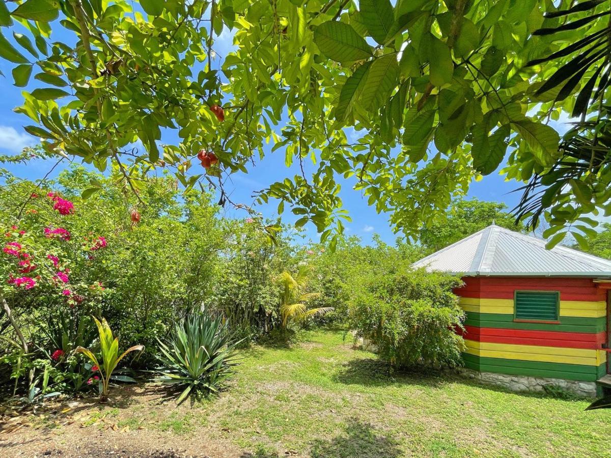 Judy House 2 - Lewis Backpacker Hostel Little Bay Rom bilde